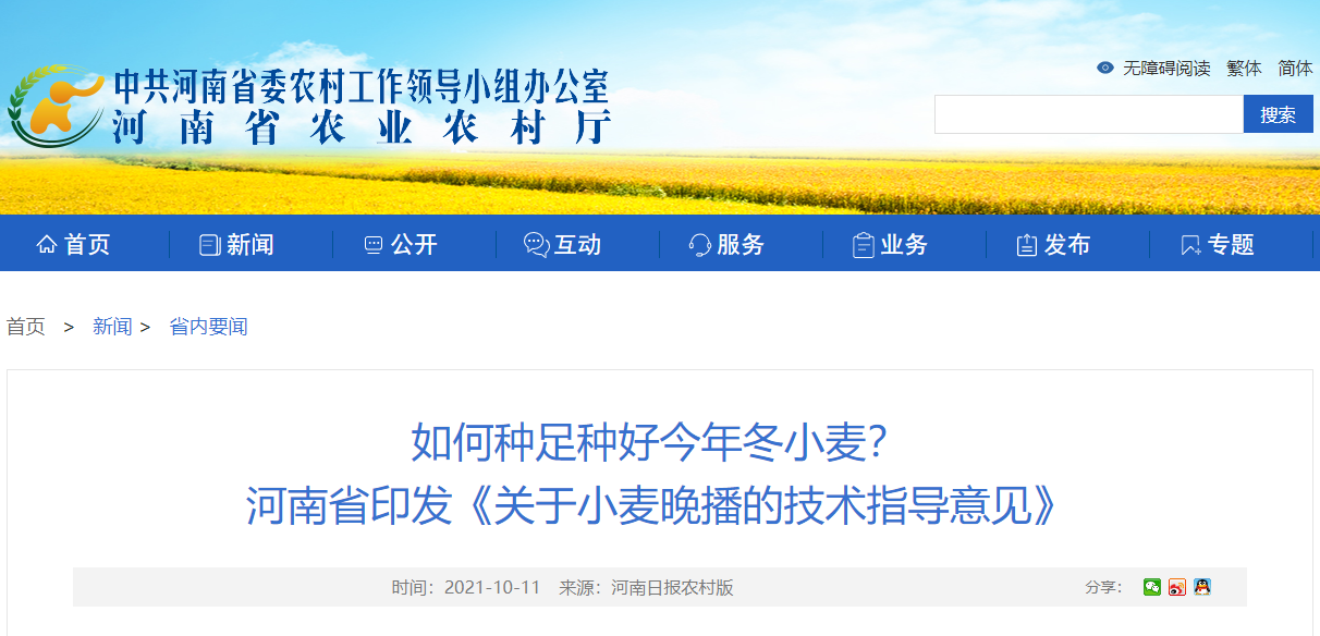 如何種足種好今年冬小麥？ 河南省印發(fā)《關于小麥晚播的技術指導意見》