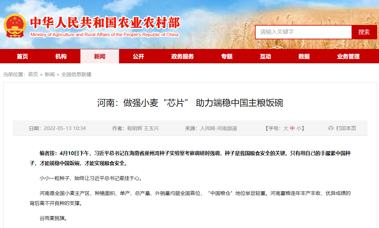 河南：做強(qiáng)小麥“芯片” 助力端穩(wěn)中國(guó)主糧飯碗