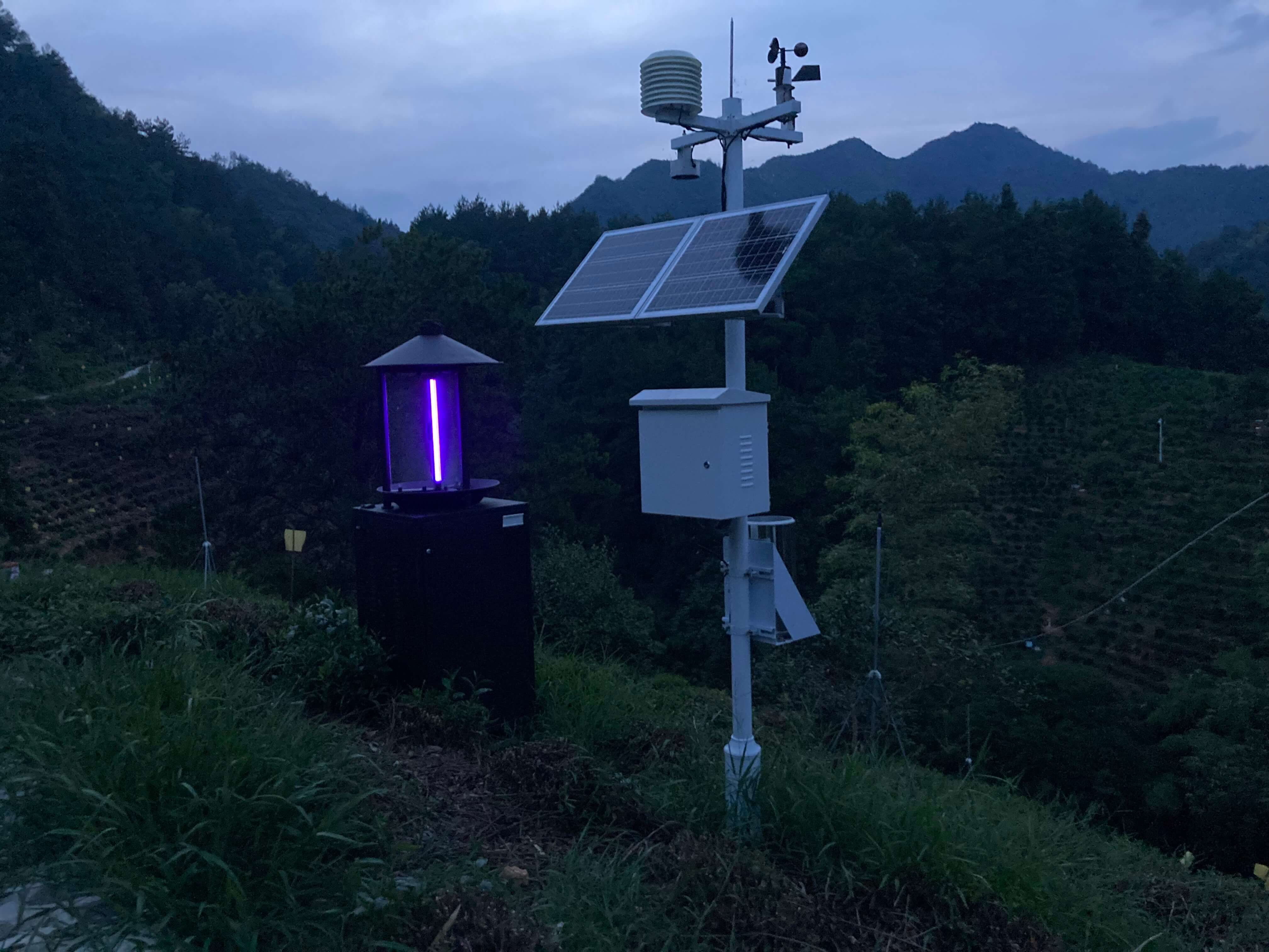 都成產(chǎn)品助力安徽黃山數(shù)字茶園建設(shè)