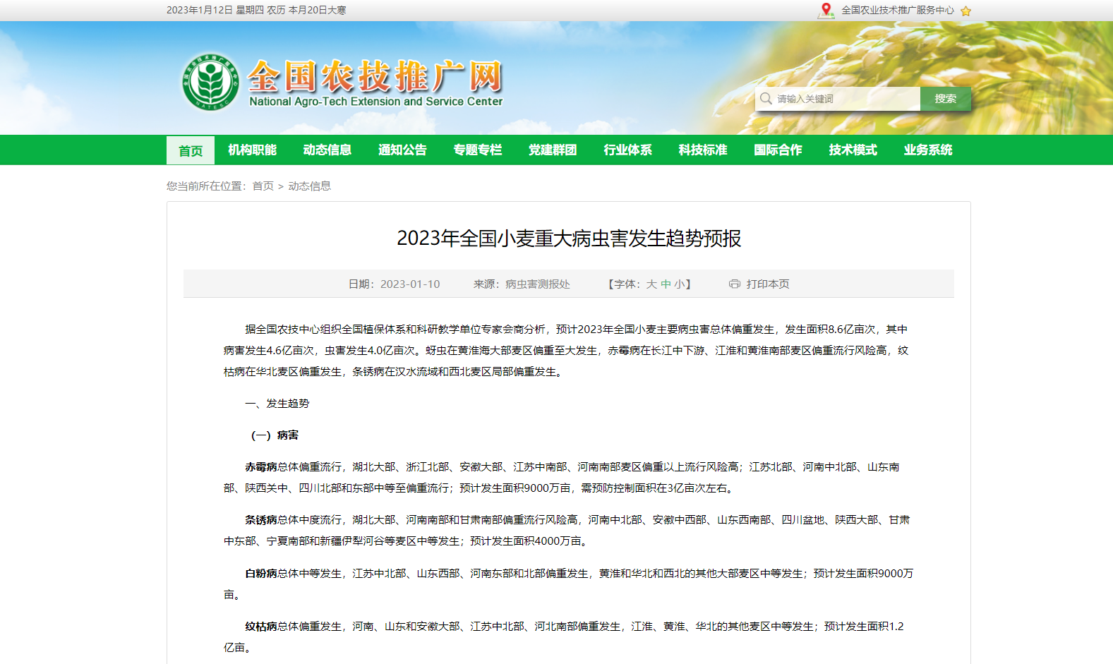 2023年全國小麥重大病蟲害發(fā)生趨勢預(yù)報