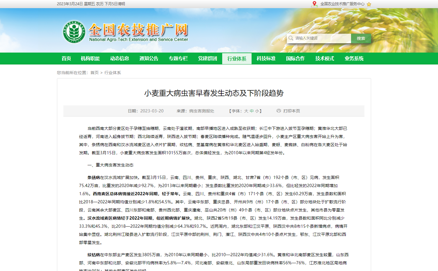 小麥重大病蟲害早春發(fā)生動態(tài)及下階段趨勢